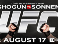 Результаты боев UFC Fight Night 26 «Шогун против Соннена» онлайн трансляция