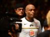 Стивен Сигал о бое на UFC 162 Сильва против Вайдмана