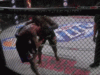 Результаты Bellator 102