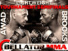 Bellator 105: «Авад против Брукса» — 25.10.13 (завершено)