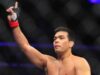 Официальный рейтинг UFC обновление после UFN 30 (28.10.13)