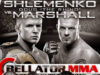 Результаты Bellator 109