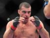 UFC Fight Night 33: Маурисио Руа против Джеймса Те Хуна (видео)