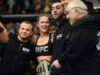 Статистика: UFC в 2013 году