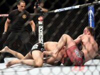 UFC 169: Рашид Магомедов против Тони Мартина (фото)