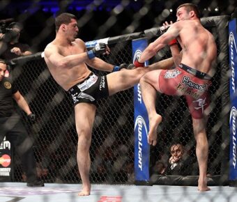 UFC 169: Рашид Магомедов против Тони Мартина (видео)