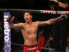 Прогнозы предварительных боев UFC 179 (часть 1)