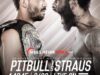 Bellator 132: «Питбуль против Штрауса» — 16.01.15