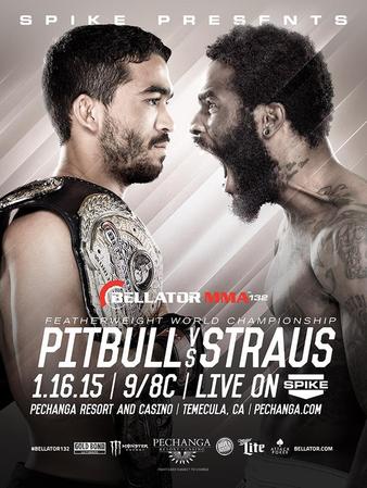 Bellator_132_Pitbull_vs._Straus_2_Poster